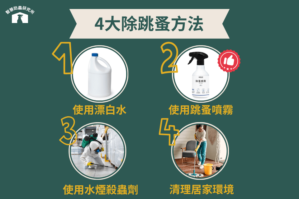 4大除跳蚤方法